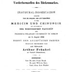 Dissertation, Berlin 1898