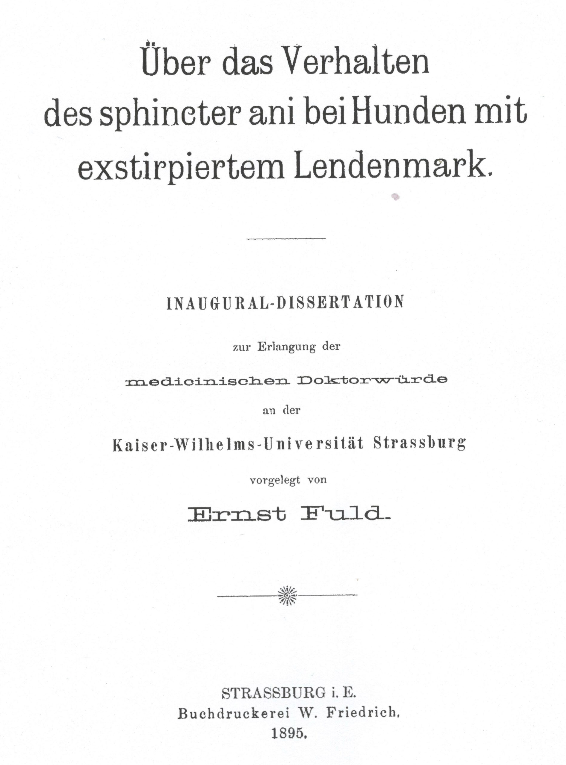 Dissertation, Straßburg 1895, Kopie des Titelblatts, Archiv H Je