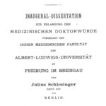 Dissertation, Berlin 1906