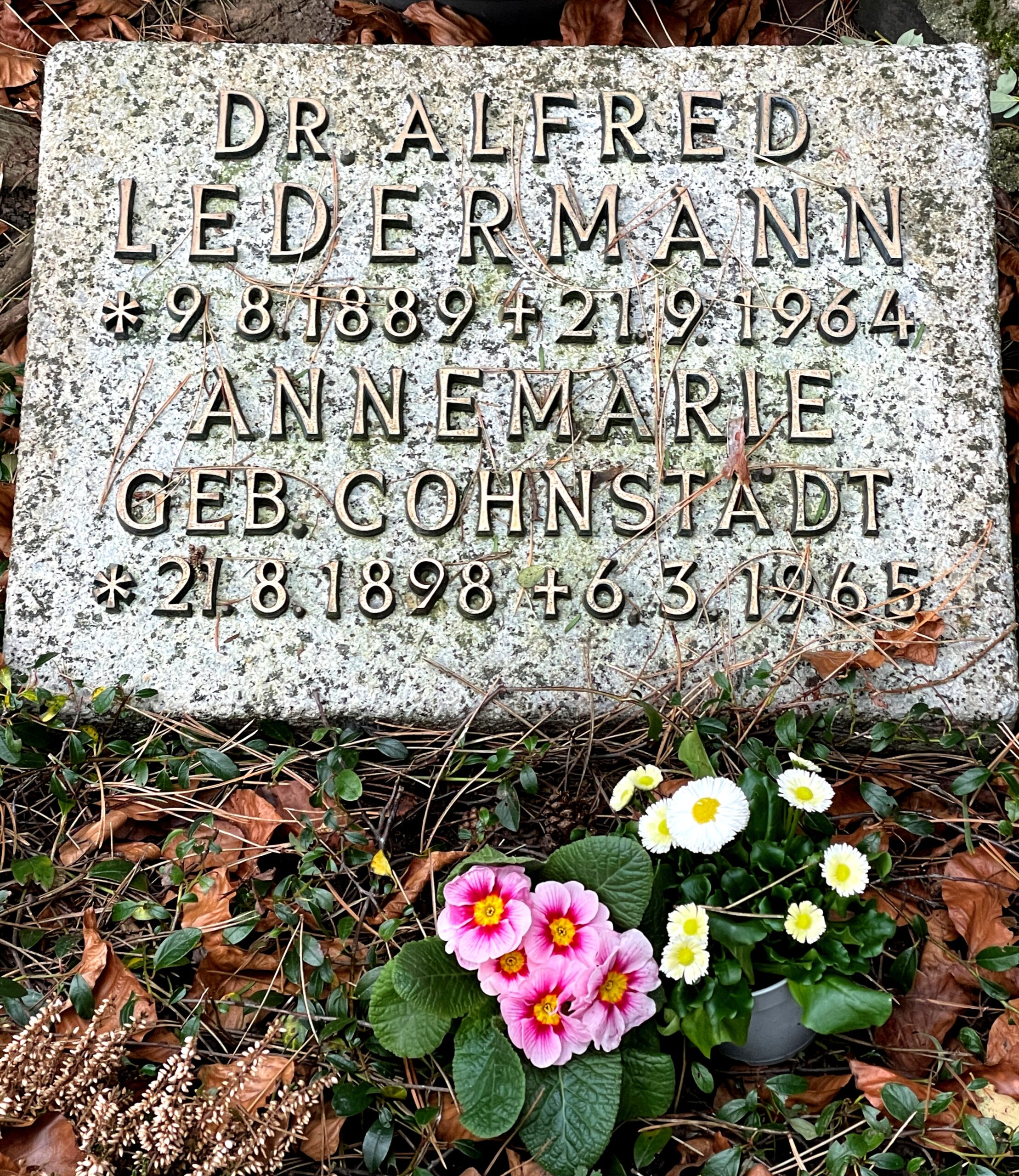 Grabstein Alfred Sallo und Annemarie Ledermann, Südfriedhof Köln, Foto: Sabine Kampmann 2023