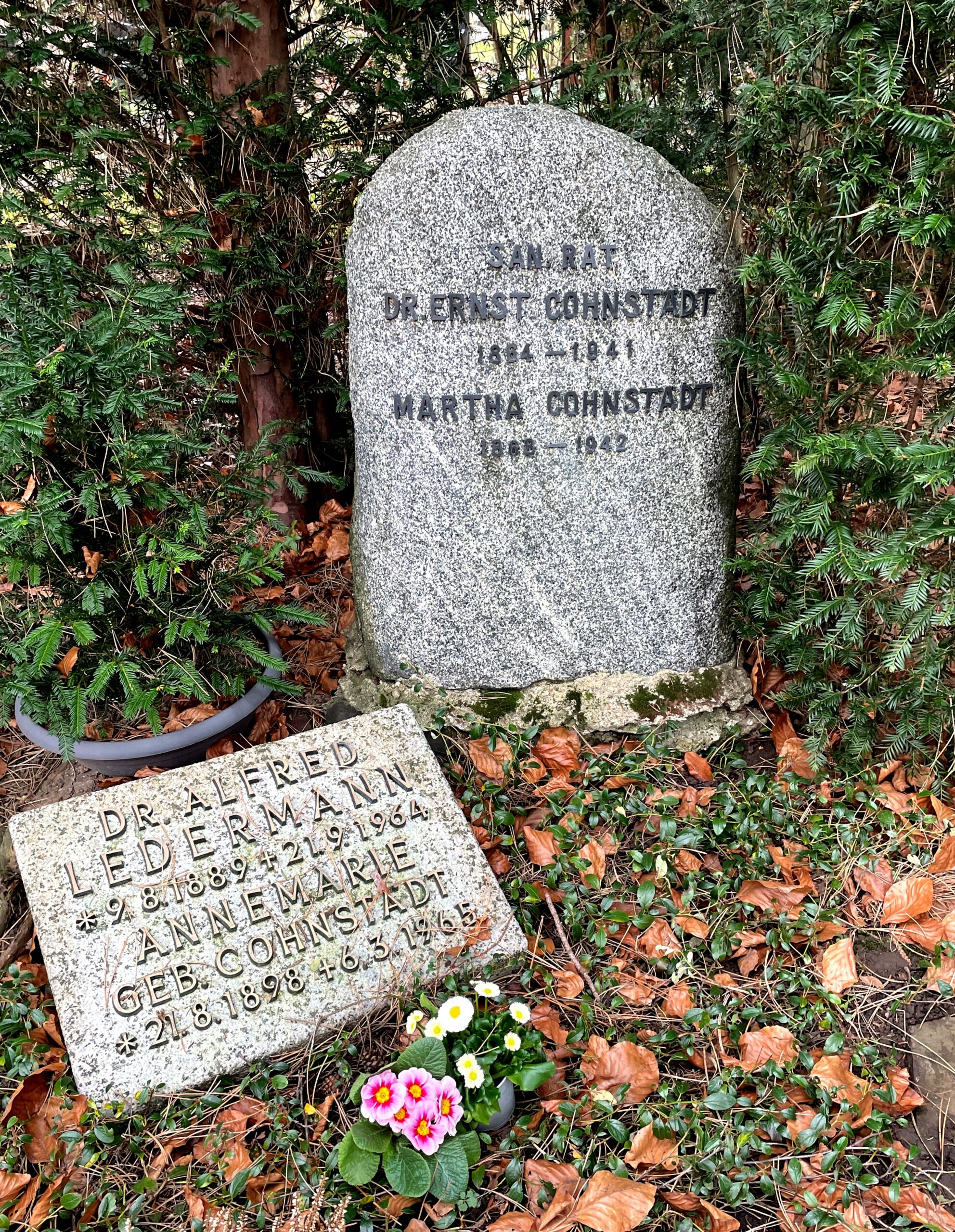 Gravesite of the married couples Cohnstädt and Ledermann, South Cemetery Cologne, photo by Sabine Kampmann 2023 