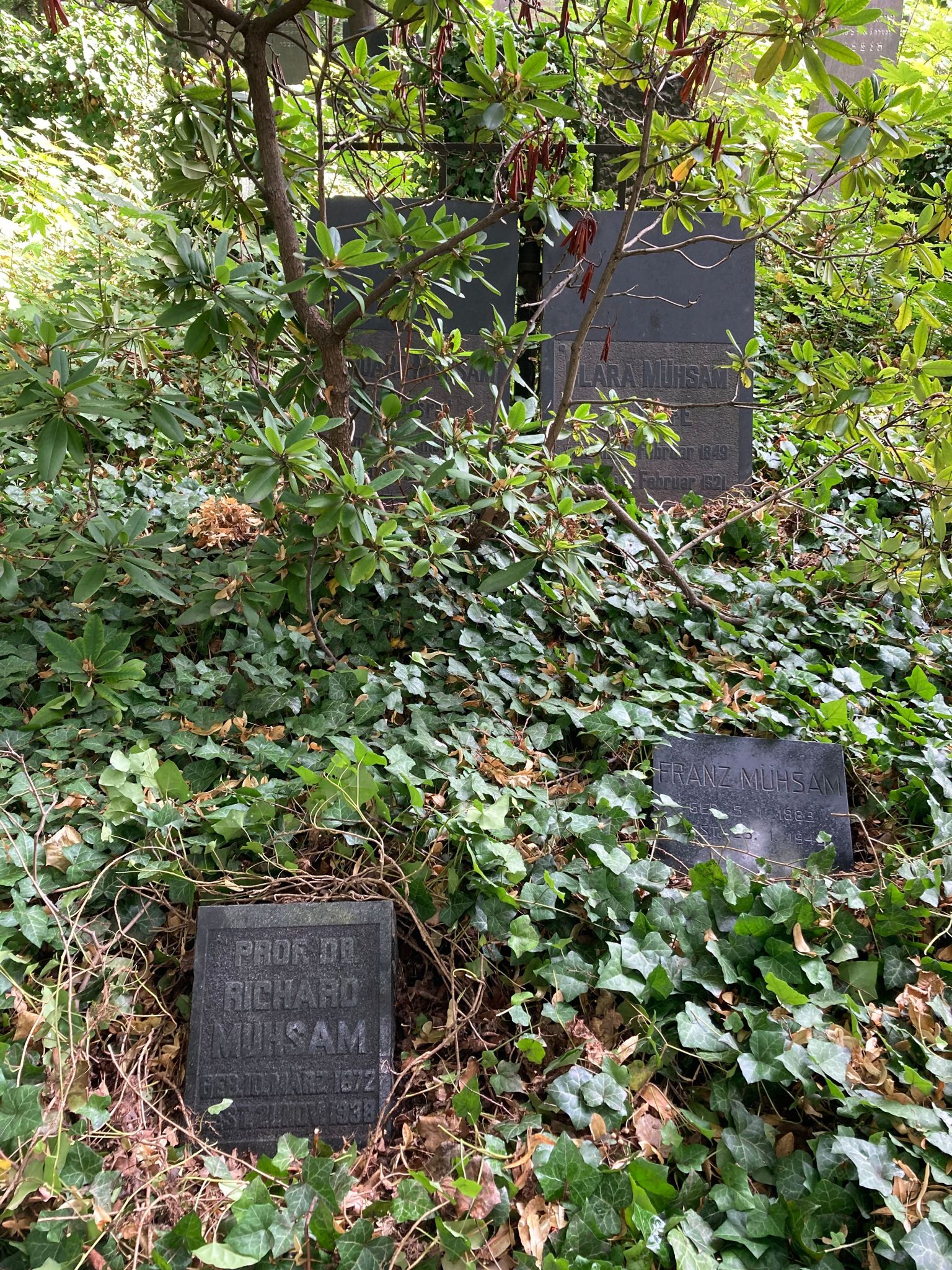 Familiengrabstätte Richard Mühsams, Jüdischer Friedhof Berlin-Weißensee, Juli 2023 © Benjamin Kuntz